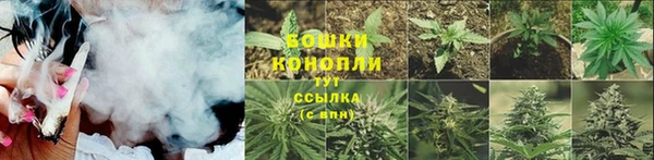 шишки Алзамай