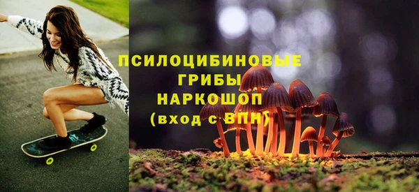 шишки Алзамай