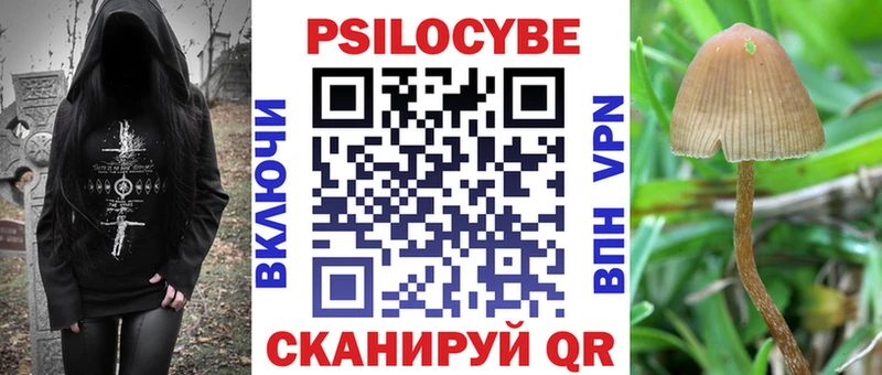 Галлюциногенные грибы Cubensis  darknet состав  Алупка  закладки 